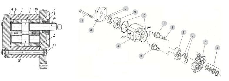 budowa_pompy_hydraulicznej zębatej